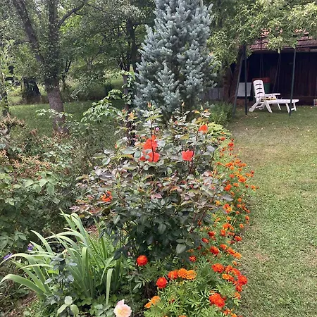 Appartement Sunshine *