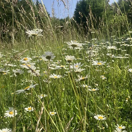 Sunshine アパート *